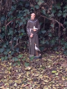 Saint Francis, in my back yard, this morning.